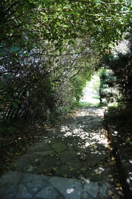 A L'Oree Des Cevennes Aigremont Buitenkant foto